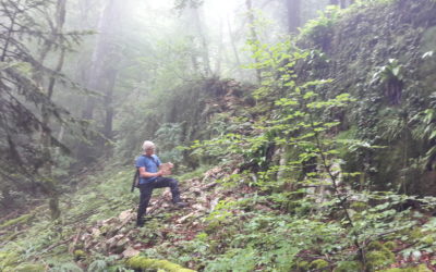 Conservation des ouvrages à pierre sèche de la voie Sarde d’accès au Col du Crucifix – St Sulpice (73)