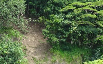 Mission en Polynésie Française sur l’île de Tahiti